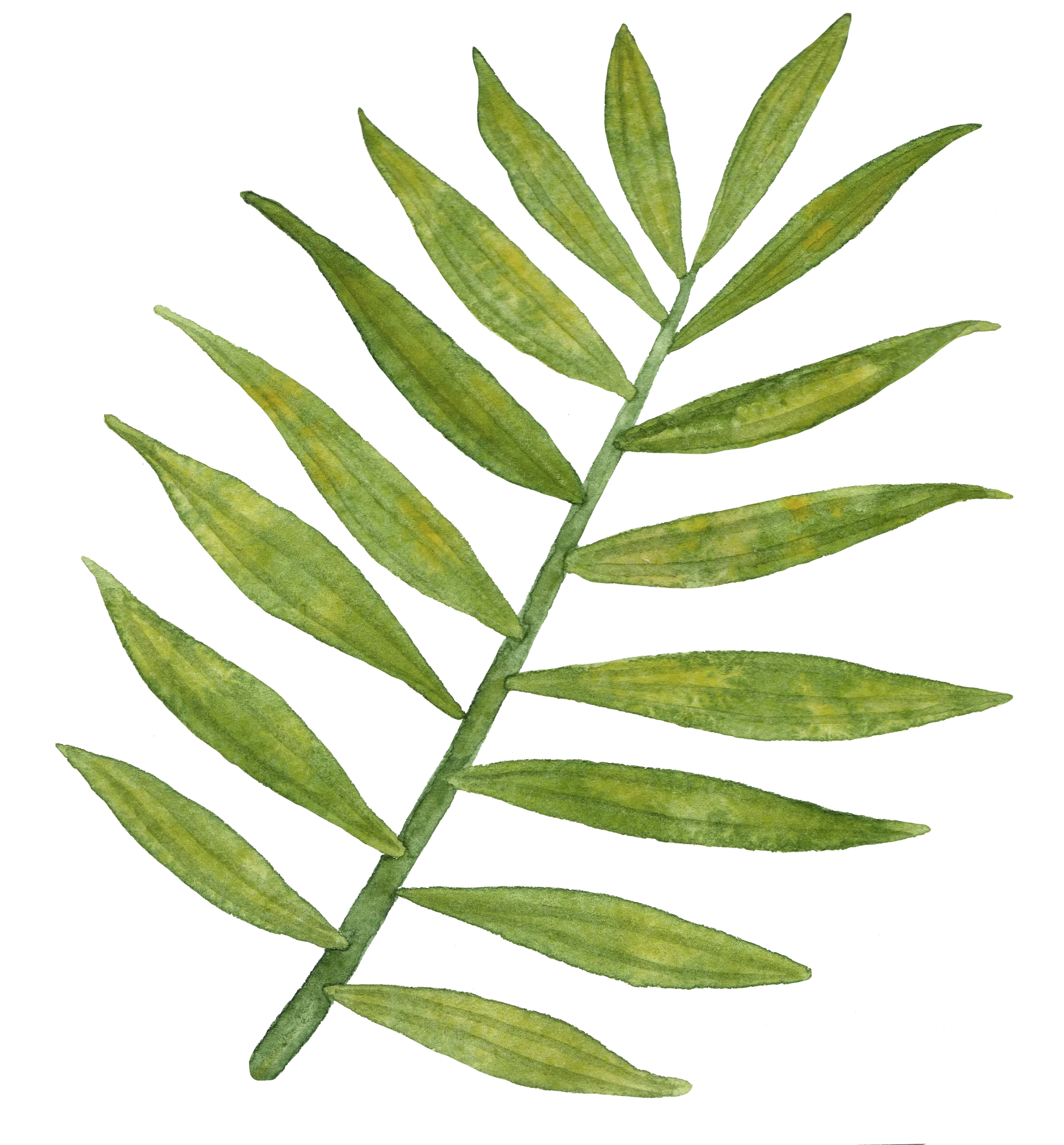level-dekor-02