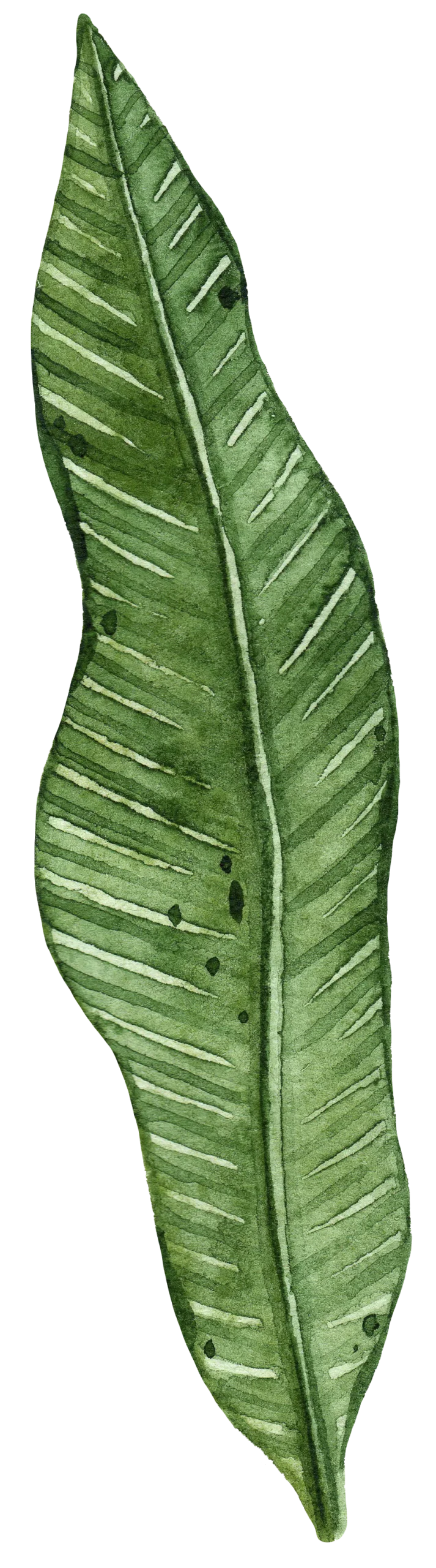 level-dekor-07
